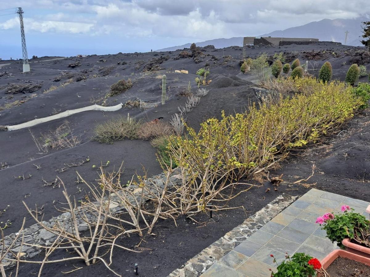 Las Manchas  Casa Cueva De Las Palomas 2 المظهر الخارجي الصورة